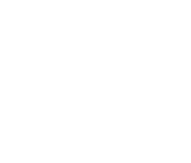 Constructed AlphaTauri