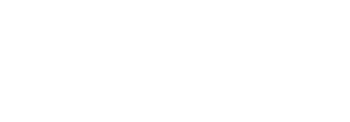 Constructed Aston Martin