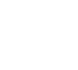 Constructed Brabham