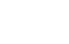 Constructed Honda