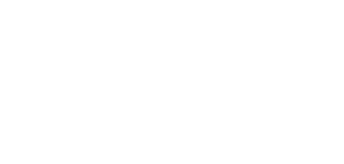 Constructed Lexus