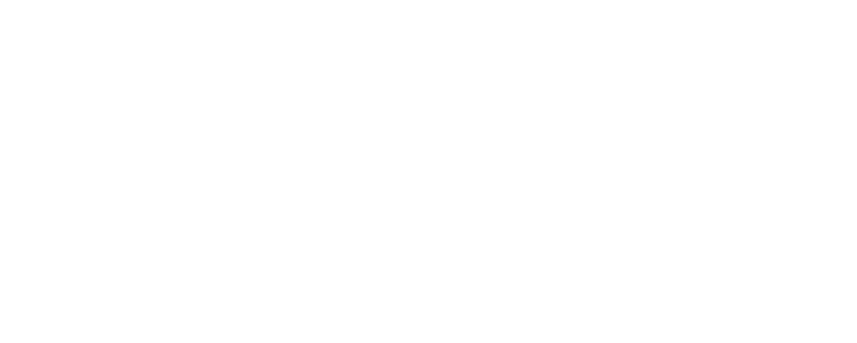 Constructed Ligier