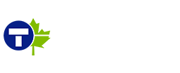 Constructed Tatuus