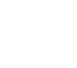 Constructed Zenvo